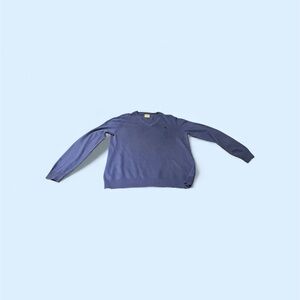 Express Men's Blue Sweater